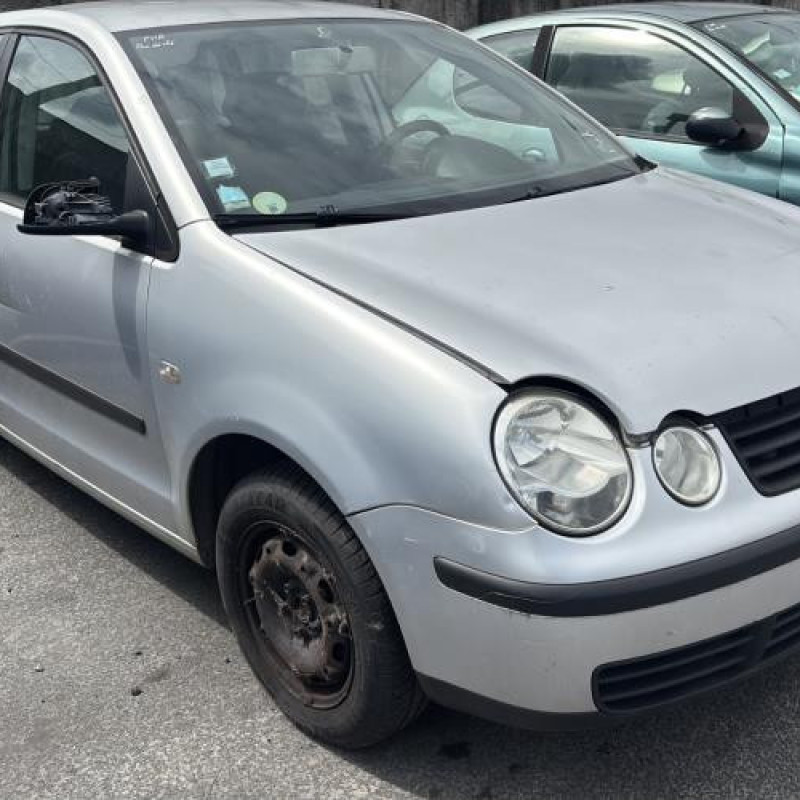 Porte arriere gauche VOLKSWAGEN POLO 4 Photo n°7