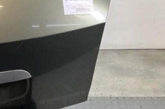 Malle/Hayon arriere RENAULT CLIO 3