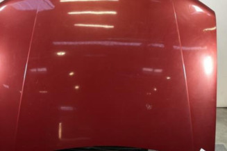 Capot PEUGEOT 406 Photo n°1