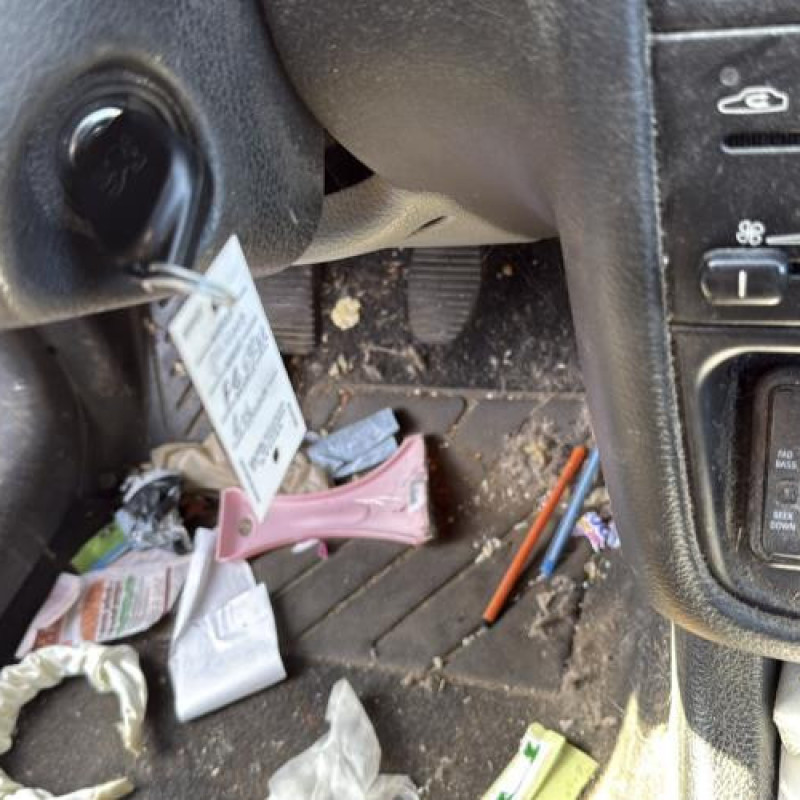 Porte arriere droit PEUGEOT 406 Photo n°14