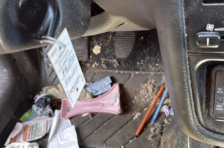 Porte arriere gauche PEUGEOT 406