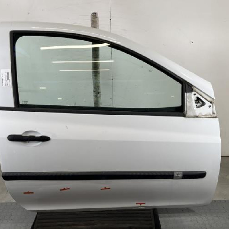 Porte avant droit RENAULT CLIO 3 Photo n°1
