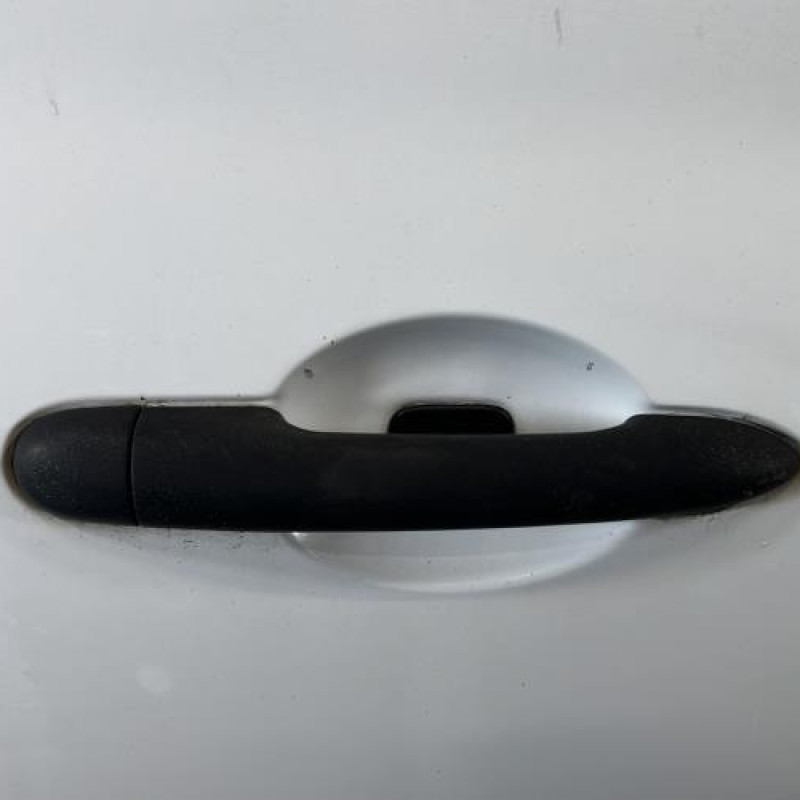 Porte avant droit RENAULT CLIO 3 Photo n°2