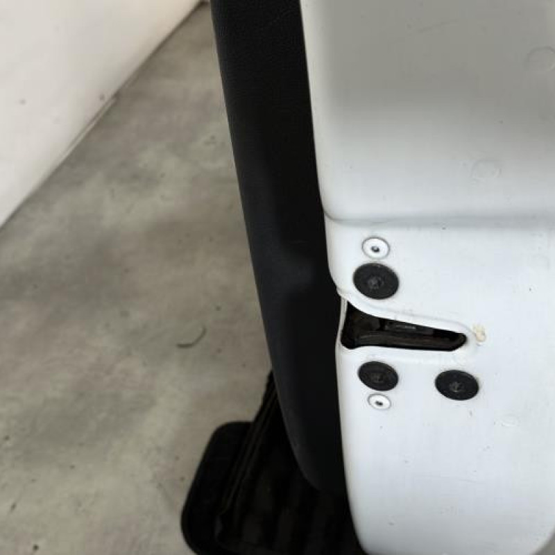 Porte avant droit RENAULT CLIO 3 Photo n°5