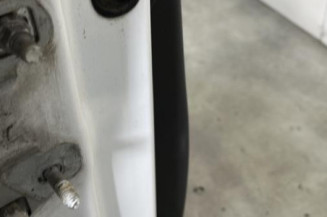 Porte avant droit RENAULT CLIO 3