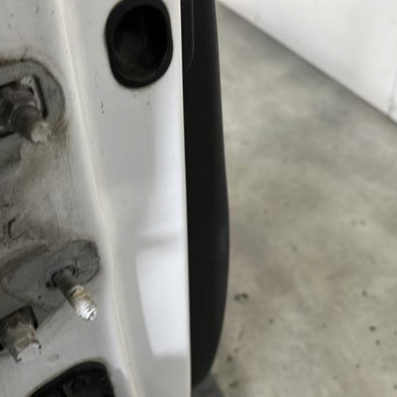 Porte avant droit RENAULT CLIO 3 Photo n°6