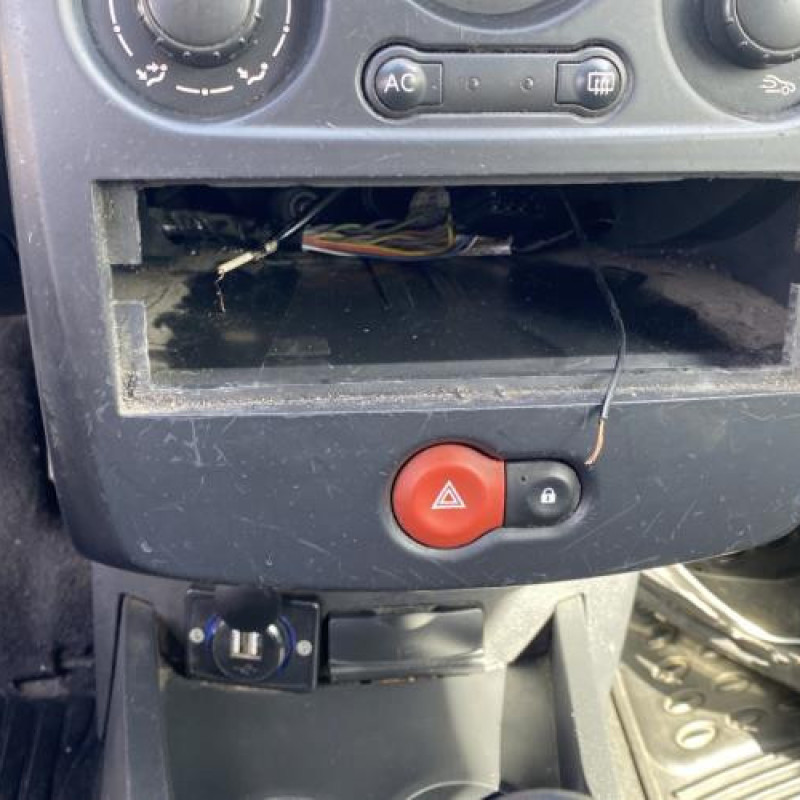 Porte avant droit RENAULT CLIO 3 Photo n°10