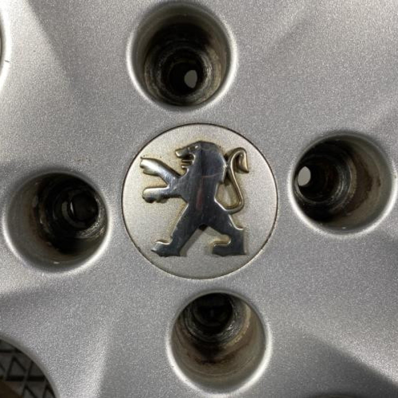 Jante PEUGEOT 307 Photo n°2