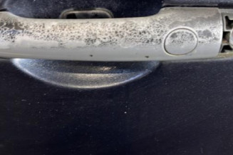 Porte avant gauche RENAULT GRAND SCENIC 2