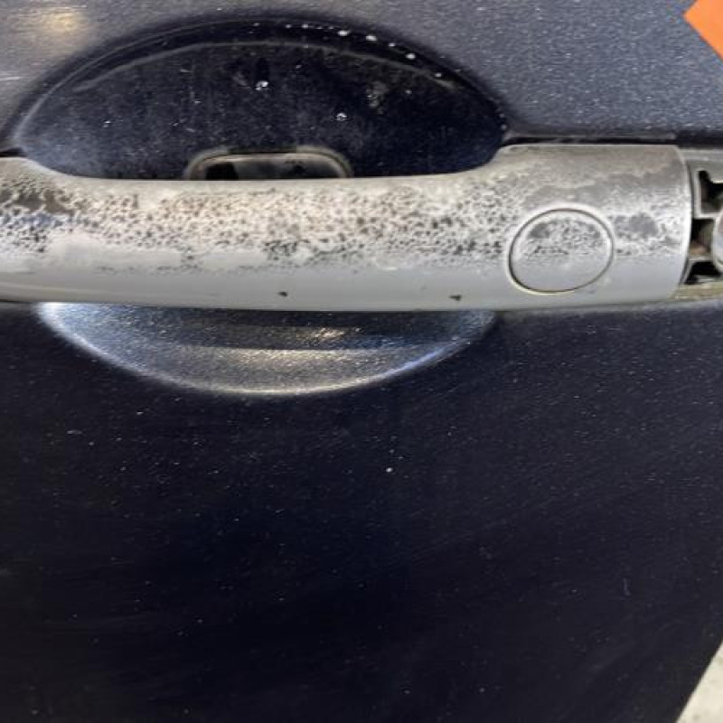 Porte avant gauche RENAULT GRAND SCENIC 2 Photo n°2