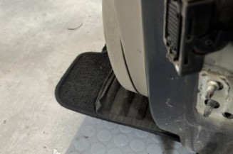 Porte avant gauche RENAULT GRAND SCENIC 2