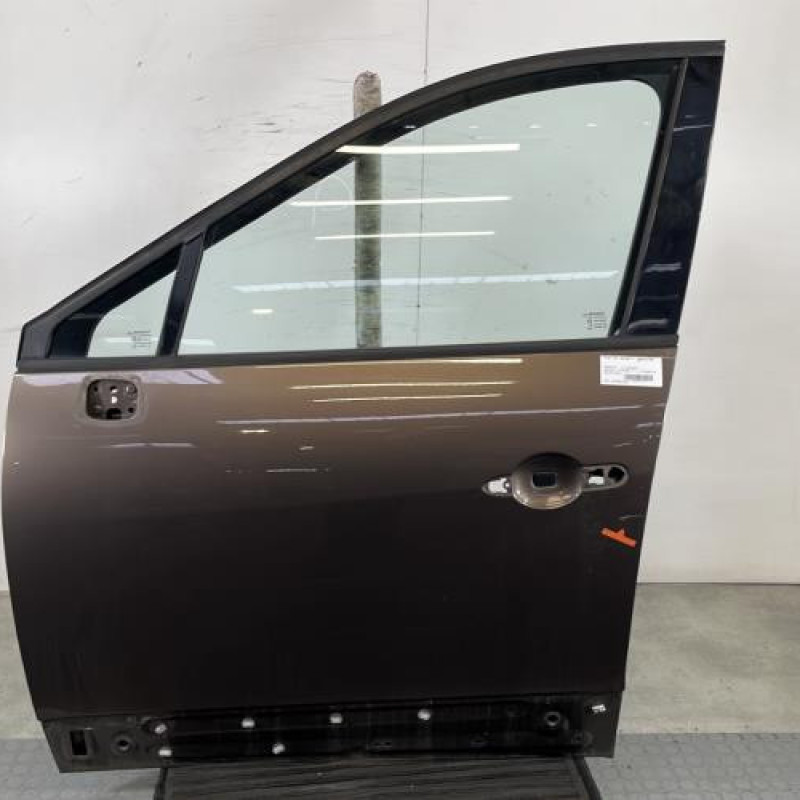 Porte avant gauche RENAULT SCENIC 3 Photo n°1