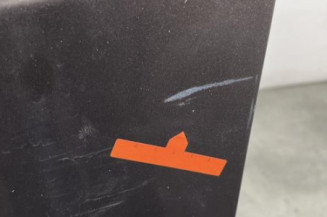 Porte avant gauche RENAULT SCENIC 3