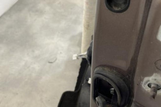 Porte avant gauche RENAULT SCENIC 3