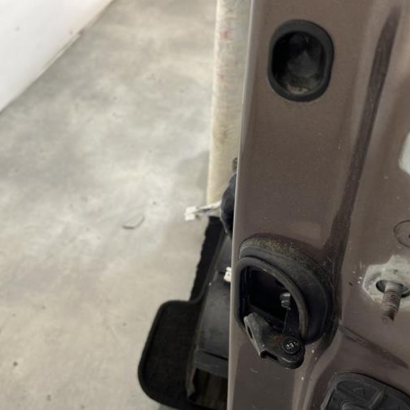 Porte avant gauche RENAULT SCENIC 3 Photo n°3