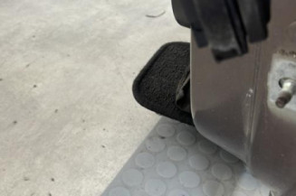 Porte avant gauche RENAULT SCENIC 3