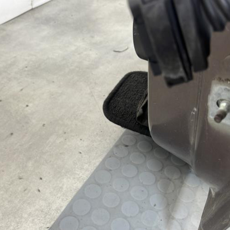 Porte avant gauche RENAULT SCENIC 3 Photo n°4