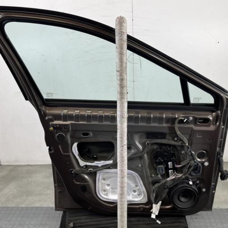 Porte avant gauche RENAULT SCENIC 3 Photo n°5