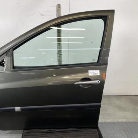 Porte avant gauche RENAULT CLIO 3 Photo n°1
