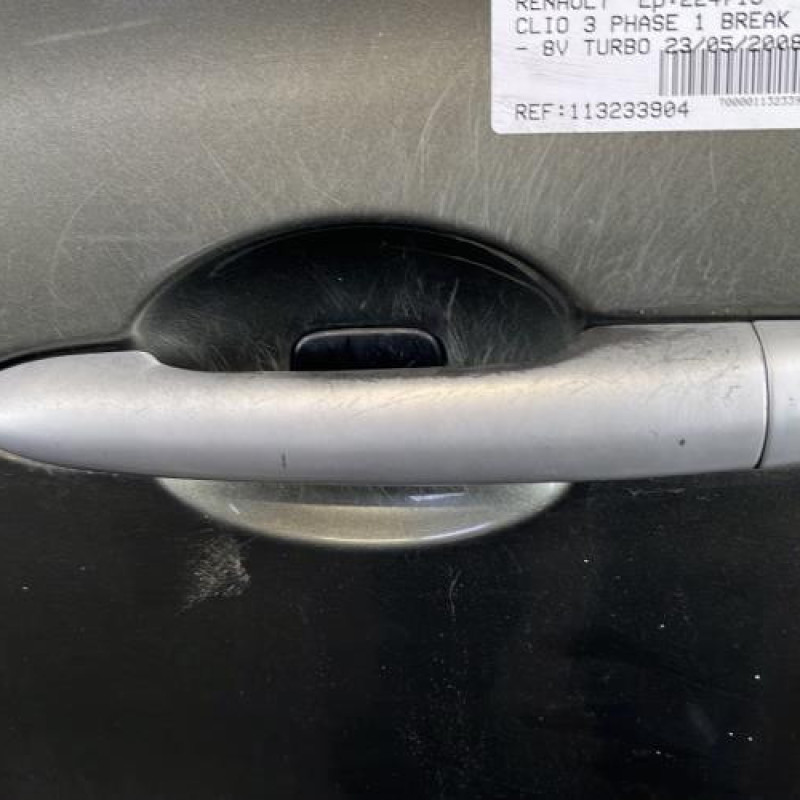 Porte avant gauche RENAULT CLIO 3 Photo n°2