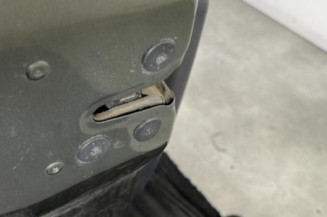 Porte avant gauche RENAULT CLIO 3