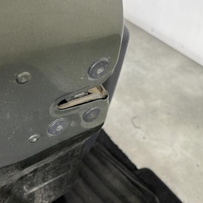 Porte avant gauche RENAULT CLIO 3 Photo n°4