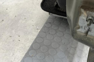 Porte avant gauche RENAULT CLIO 3