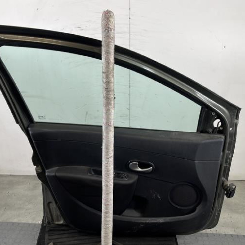 Porte avant gauche RENAULT CLIO 3 Photo n°7