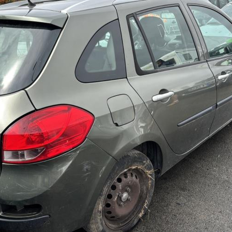 Porte avant gauche RENAULT CLIO 3 Photo n°10