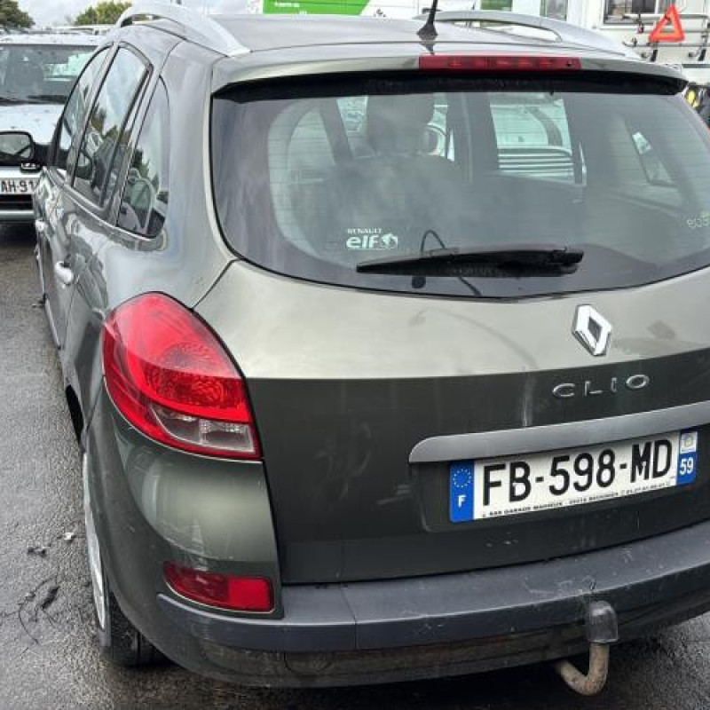 Porte avant gauche RENAULT CLIO 3 Photo n°12