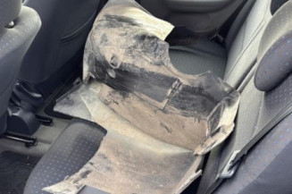 Custode arriere gauche (porte) RENAULT CLIO 2