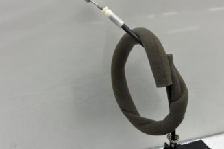 Serrure arriere gauche RENAULT KADJAR