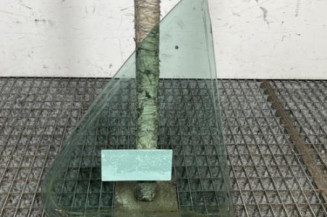 Custode arriere gauche (porte) RENAULT LAGUNA 2