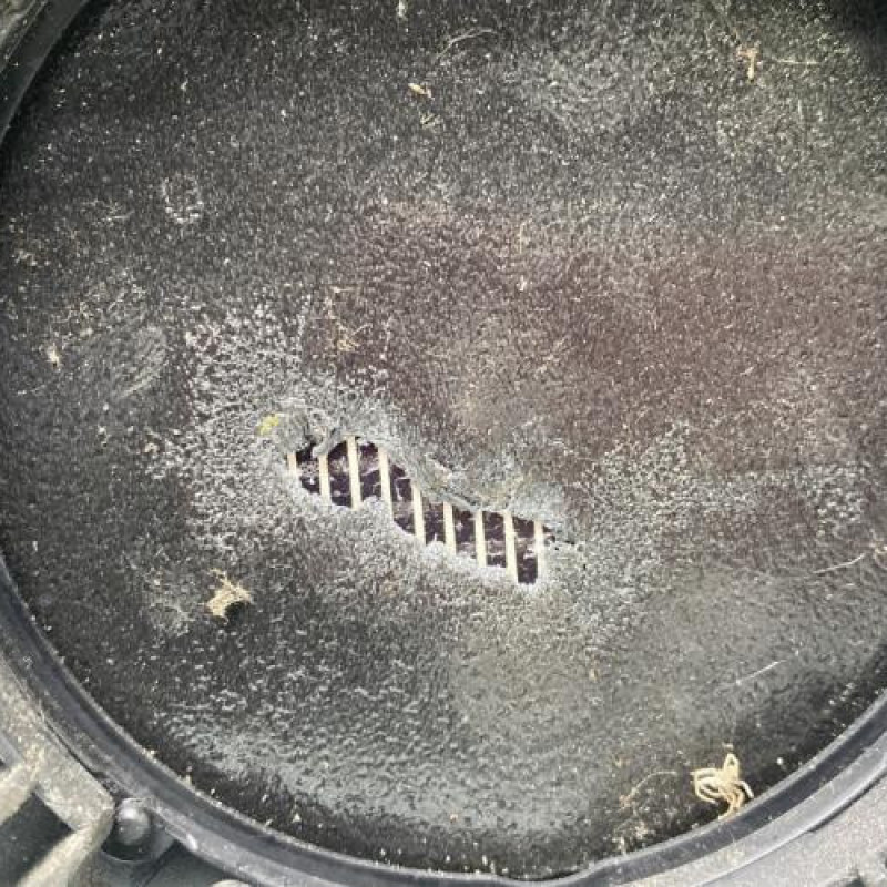 Glace retroviseur droit BMW Z4 E85 Photo n°3