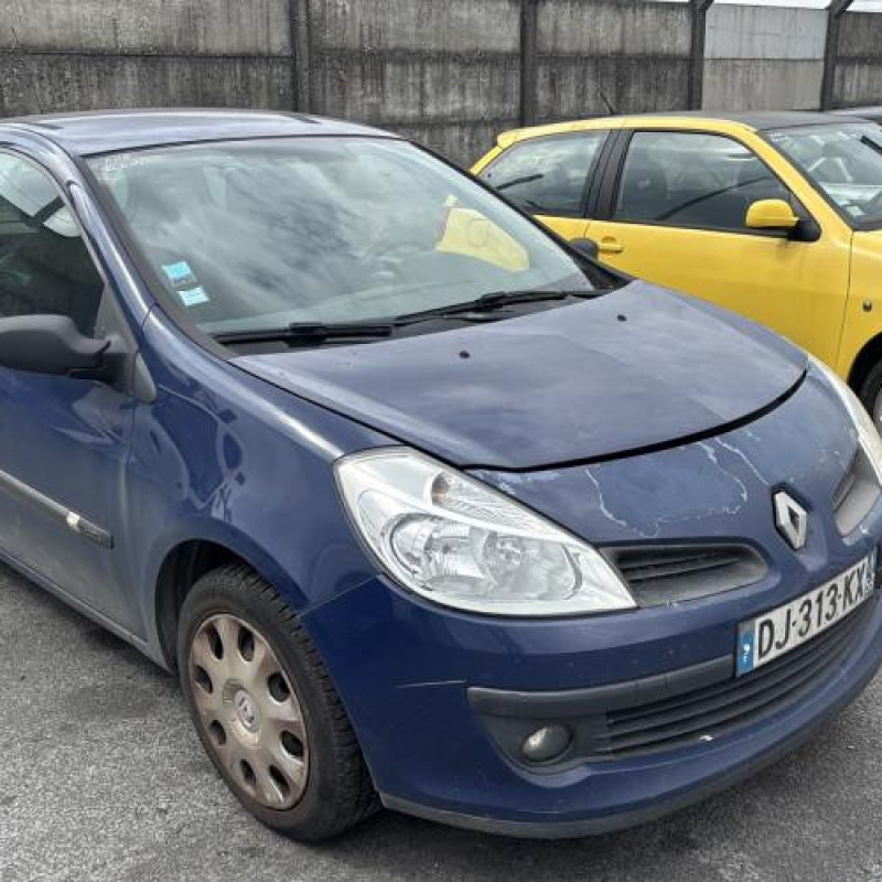 Pedale d'accelerateur RENAULT CLIO 3 Photo n°7