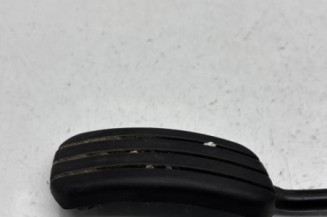 Pedale d'accelerateur RENAULT CLIO 2