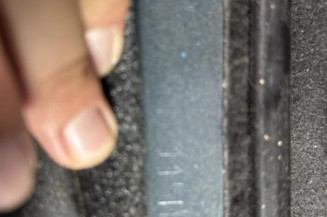 Pedale d'accelerateur RENAULT CLIO 2