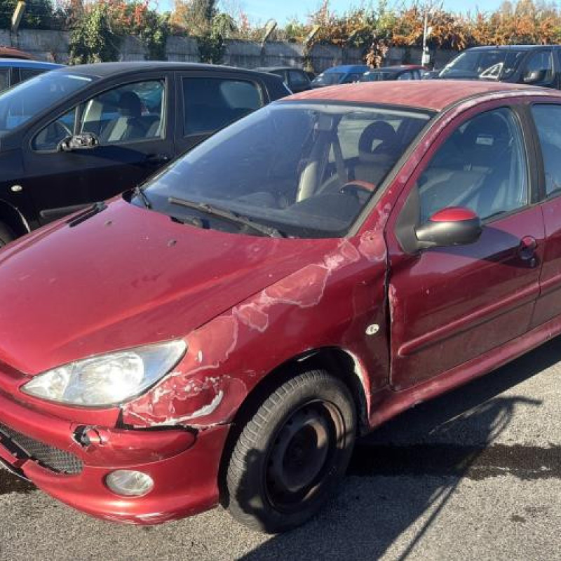 Pedale d'accelerateur PEUGEOT 206 Photo n°6