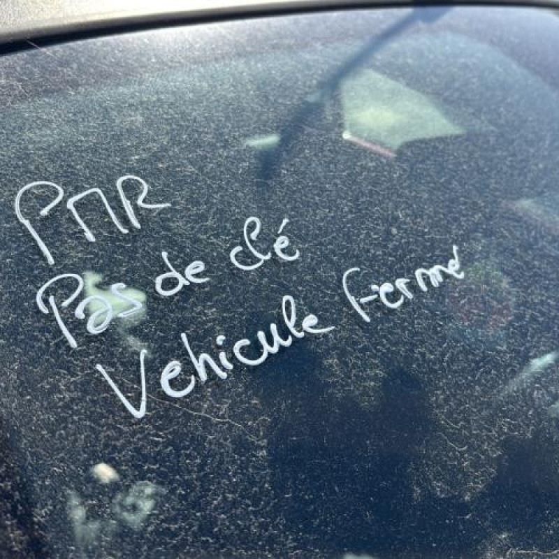 Glace retroviseur gauche CITROEN C3 PLURIEL Photo n°13