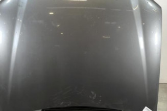 Capot PEUGEOT 406 Photo n°1