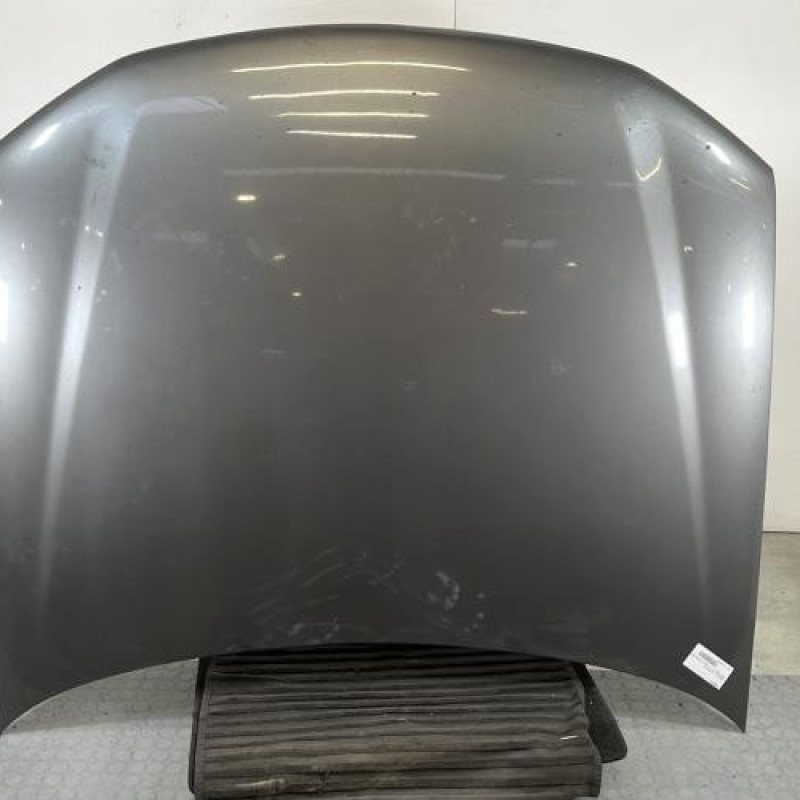 Capot PEUGEOT 406 Photo n°1