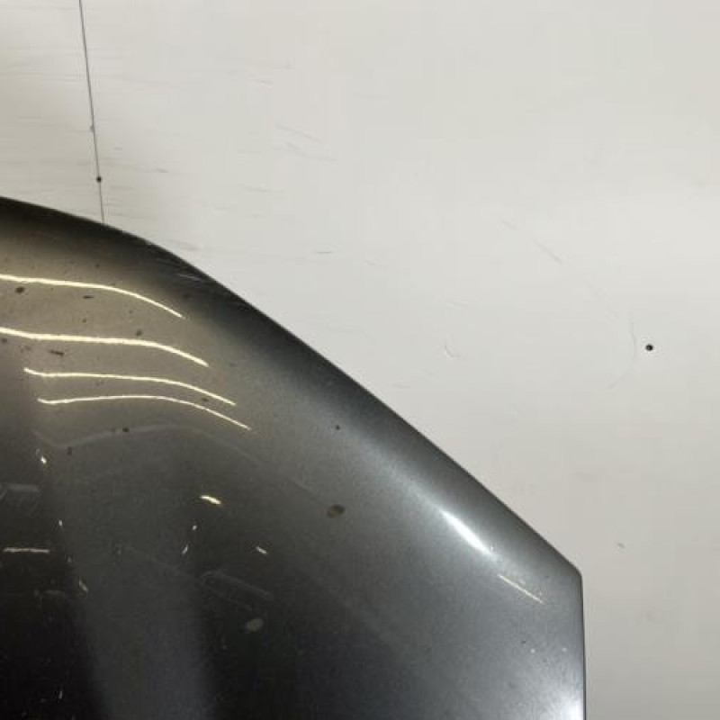 Capot PEUGEOT 406 Photo n°3