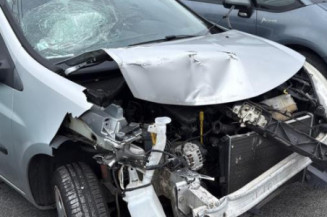 Catalyseur (echappement) RENAULT CLIO 3