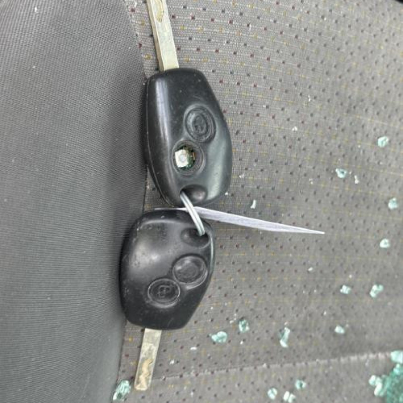 Tambour arriere gauche RENAULT CLIO 3 Photo n°19