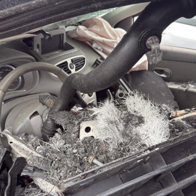 Tambour arriere gauche RENAULT CLIO 3 Photo n°5