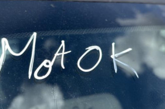 Tambour arriere droit RENAULT CLIO 3