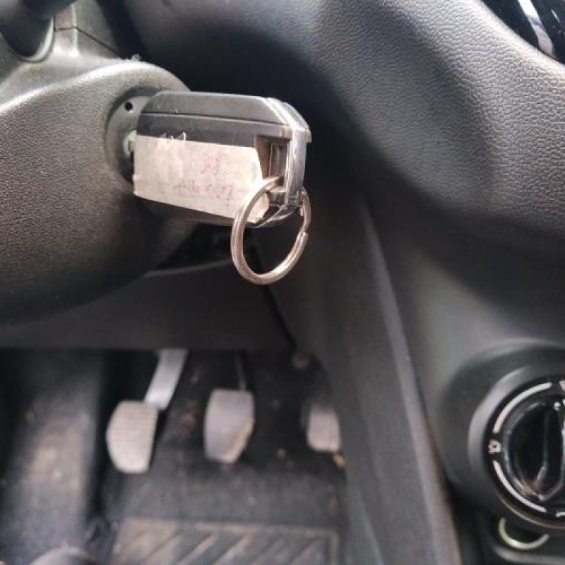 Porte arriere gauche PEUGEOT 208 1 Photo n°8