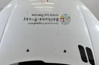 Capot PEUGEOT 206 Photo n°1