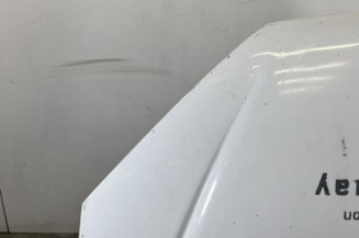 Capot PEUGEOT 206