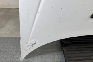 Capot PEUGEOT 206